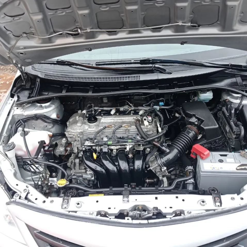 Motor limpio después de una descontaminación a vapor y aplicación de productos de limpieza